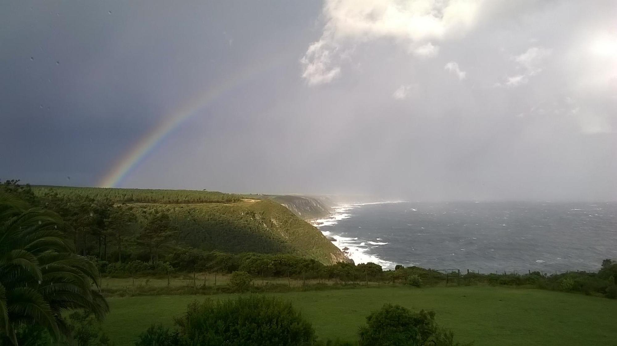 Tsitsikamma On Sea Resort Witelsbos Bagian luar foto