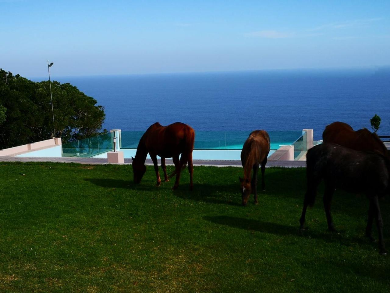 Tsitsikamma On Sea Resort Witelsbos Bagian luar foto